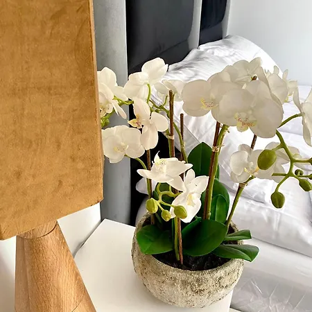 Ogarna 33 * Гданьск